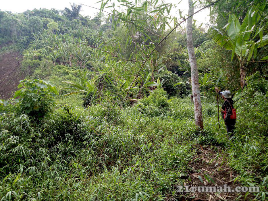 Di jual tanah murah dan subur