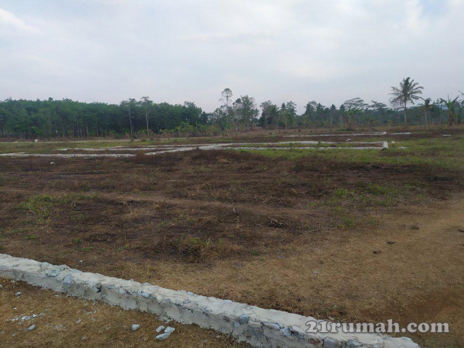 Tanah kavling 7 x 14 m (98 mÂ²) 