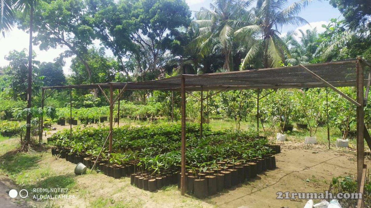 Tanah, bagus utk buat perumahan