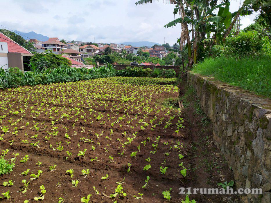 Murah Kavling di Sariwangi Polban Bandung