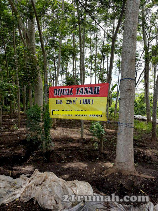 Tanah murah dan strategis di Kepanjen Malang