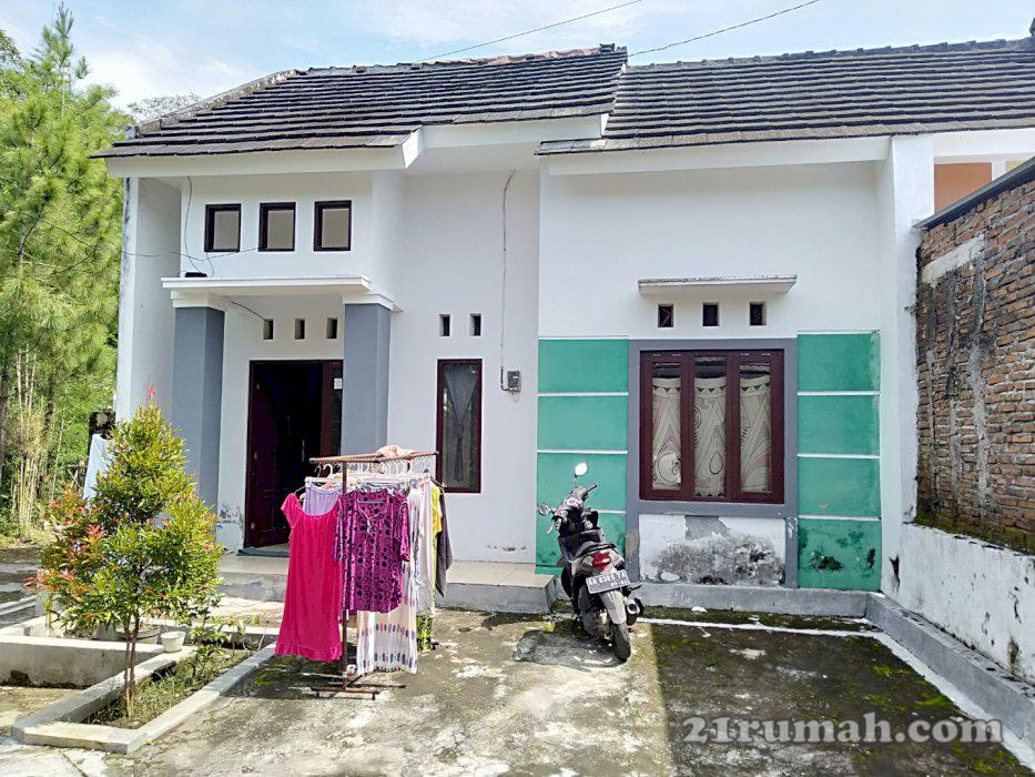 Rumah Minimalis Cocok Untuk Vila Hanging Garden