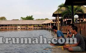 beli tanah bebas penaltyl fasilitas kolam pemancingan