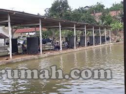 beli tanah murah fasilitas kolam pemancingan