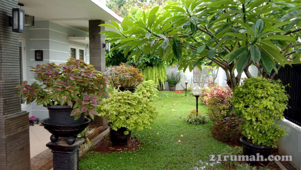 Rumah Hoek Asri Siap Huni Di Ciputat Sarua Makmur Luas Tanah 247 m