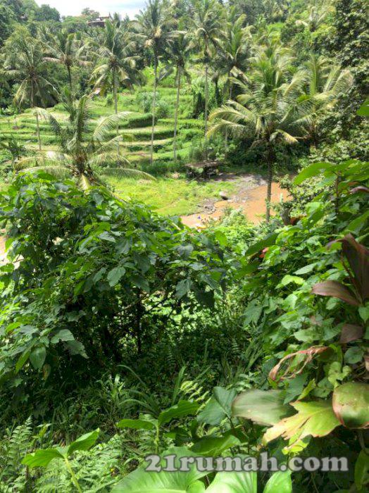 Dijual tanah 1,8 hektar daerah ubud 