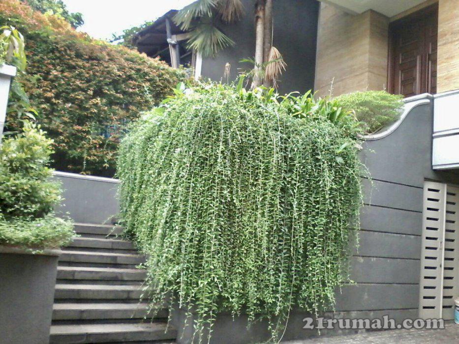 Dijual Rumah Mewah baru siap huni