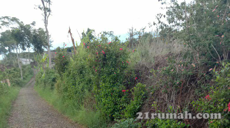Tanah luas murah strategis di Kota Batu