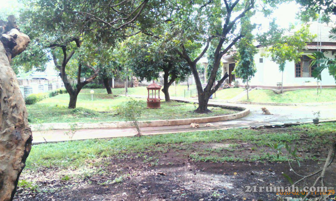 Rumah tingal nyaman aman 