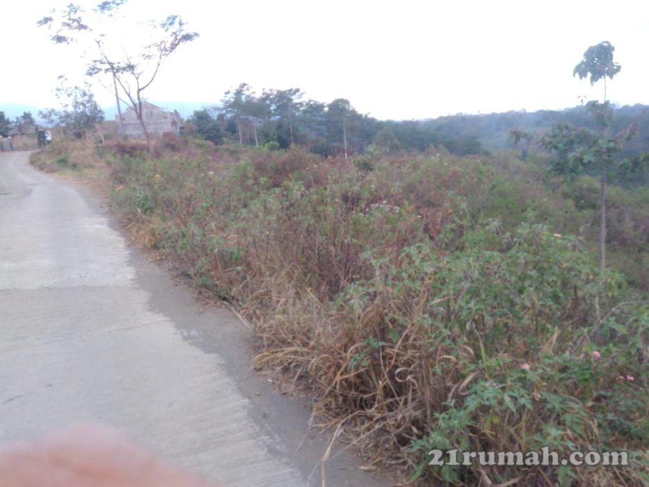 Tanah luas dan murah di poncokusumo malang