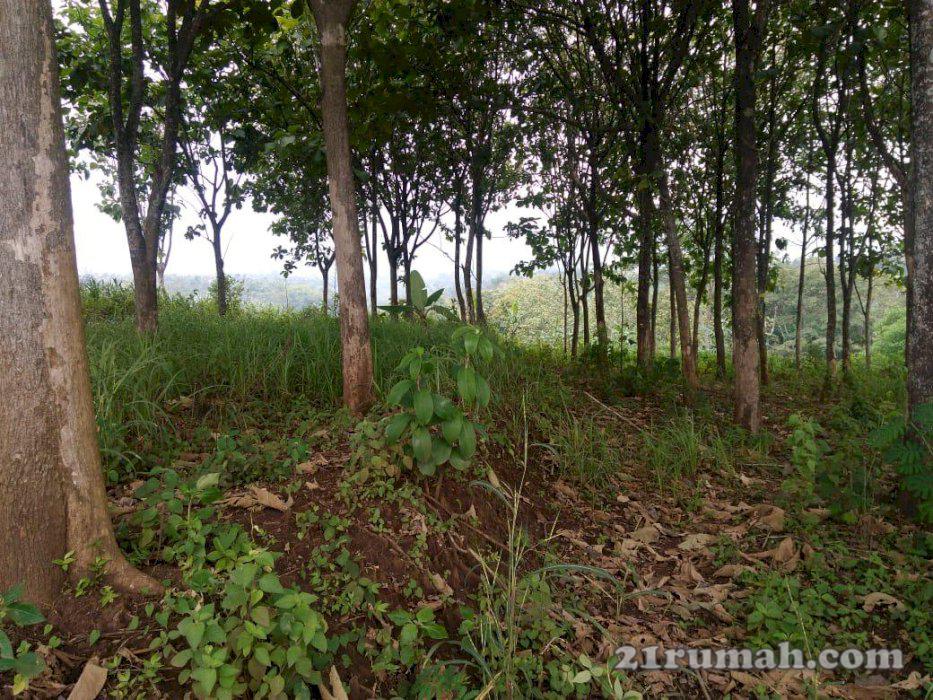 Tanah luas dan murah strategis di dau malang