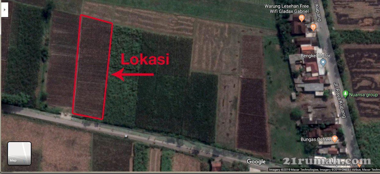 Dijual Tanah Mojokerto Luas 3000m2