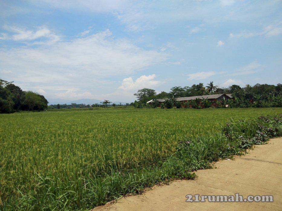Di Jual lahan di Jatisari Cileungsi