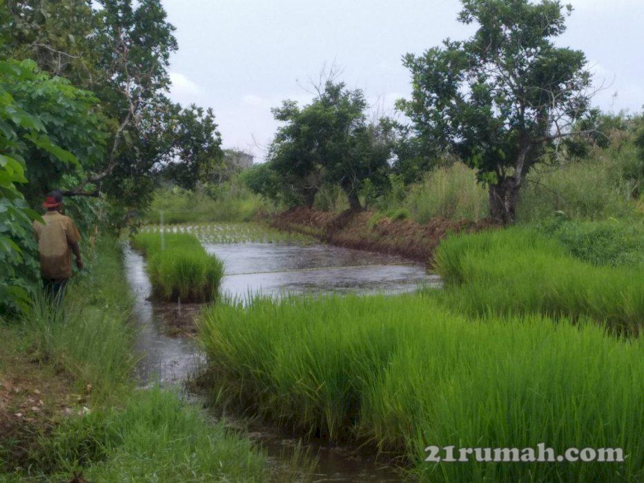 Tanah SHM di Alalak Utara