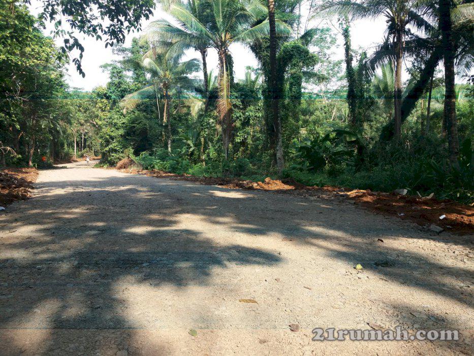 Tanah Subur Pinggir Jalan Beton 