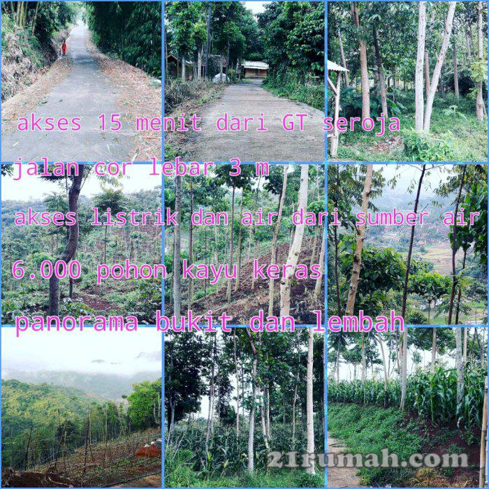 tanah panorama lembah dan bukit