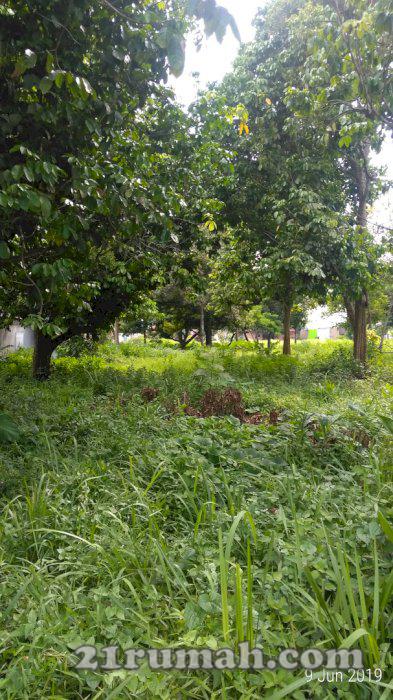 Dijual tanah datar di daerah Bandar Setia