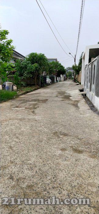 Tanah Cakep Macan Kumbang Dalam Kota 