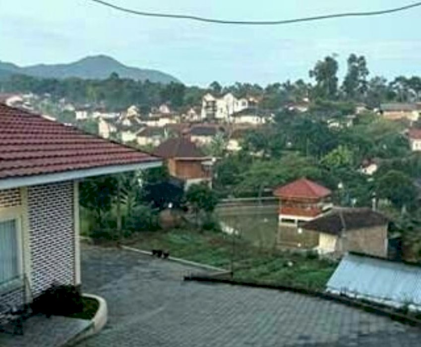 Rumah villa nyaman asri bisa tinggal