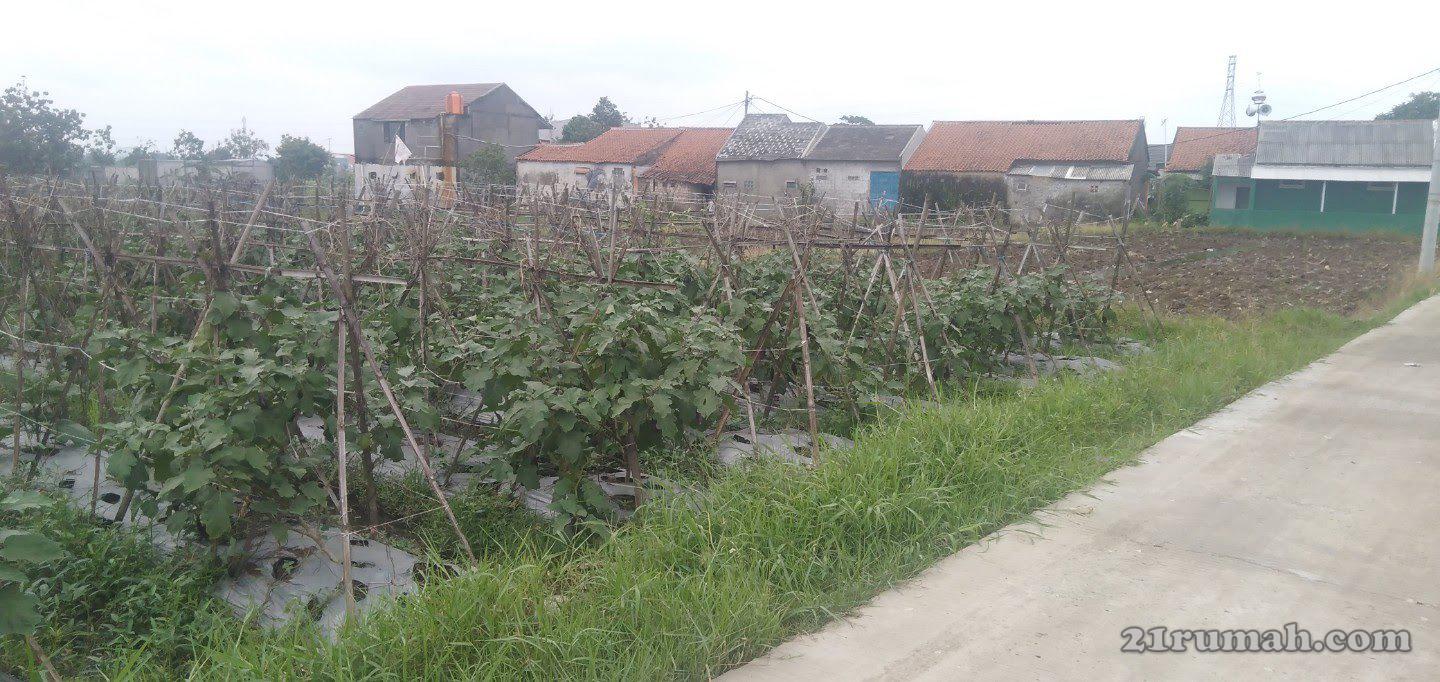 Tanah strategis dan murah