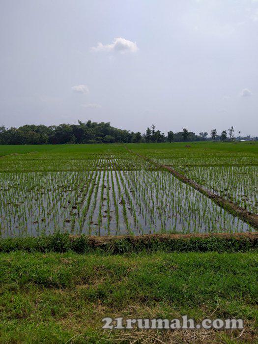 Tanah Murah 693m2 Kab.Karanganyar 