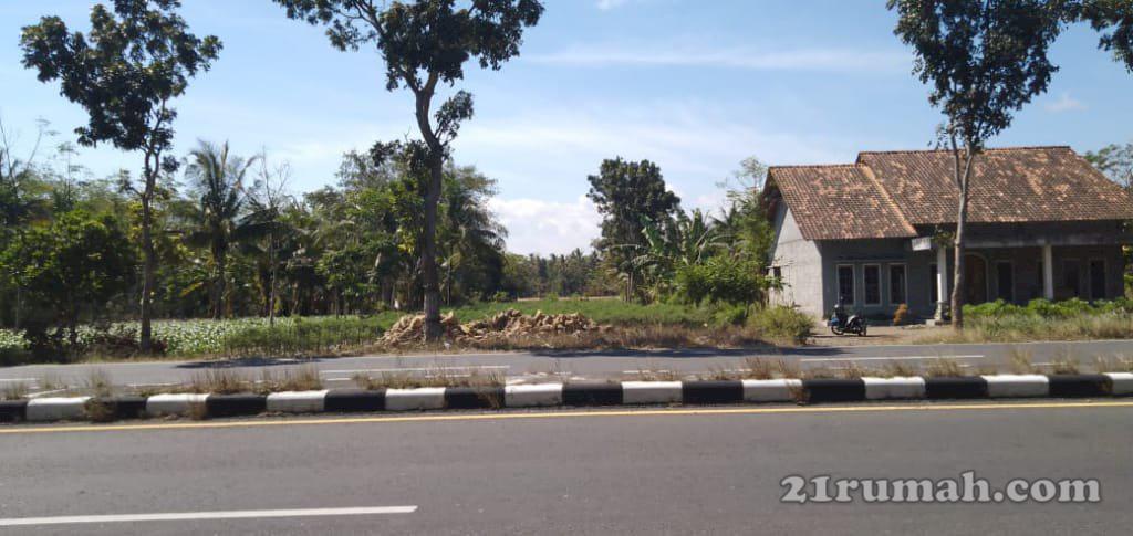 Dijual cepat tanah tanpa perantara