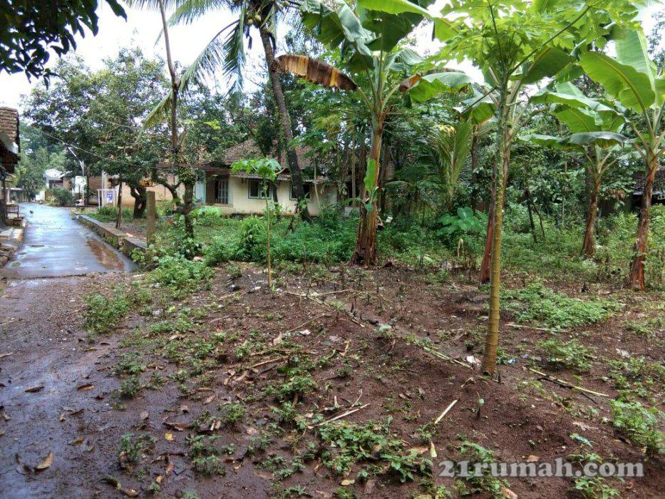 Tanah Murah Bisa Dikredit