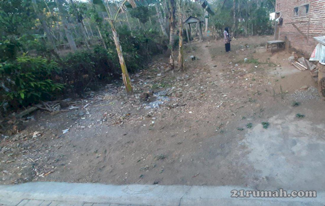 Tanah kavlingan daerah Singosari 