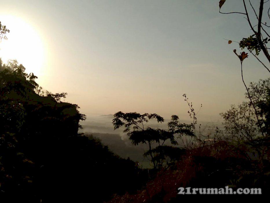 Tanah view menawan di kalibawang