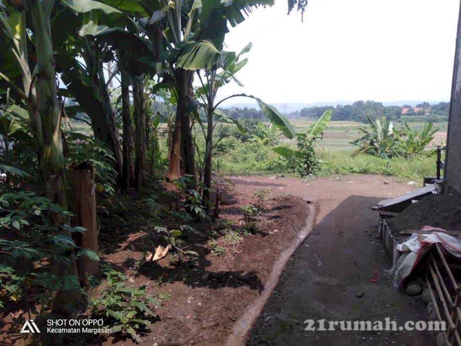 Tanah daratan cocok buat infes atau hunian