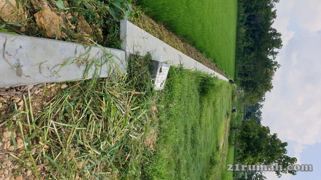 Jual tanah sawah luas 1900m2