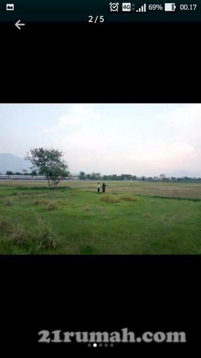 dijual sawah lokasi dekat pengembangan mesjid terapung prov.jabar