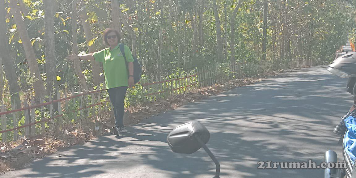 Tanah Pekarangan mangku jalan aspal dijual