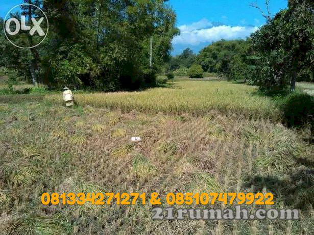 Tanah Nol Jalan Pandaan, dekat sekolahan