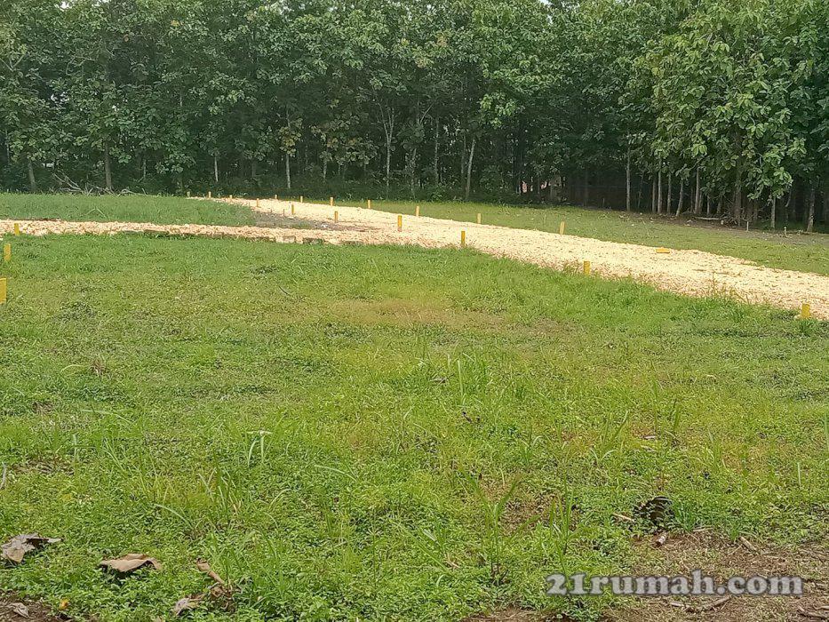 promo kavling Jetis-Wirosari