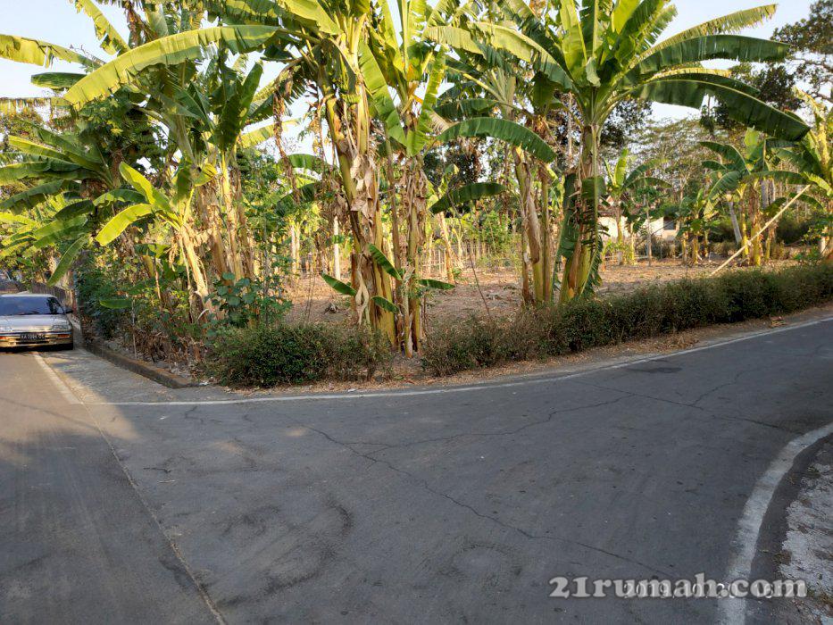 Pekarangan SHM Siap Bangun