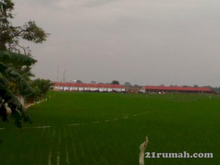 Tanah Kp. Baru, Babelan Kab Bekasi