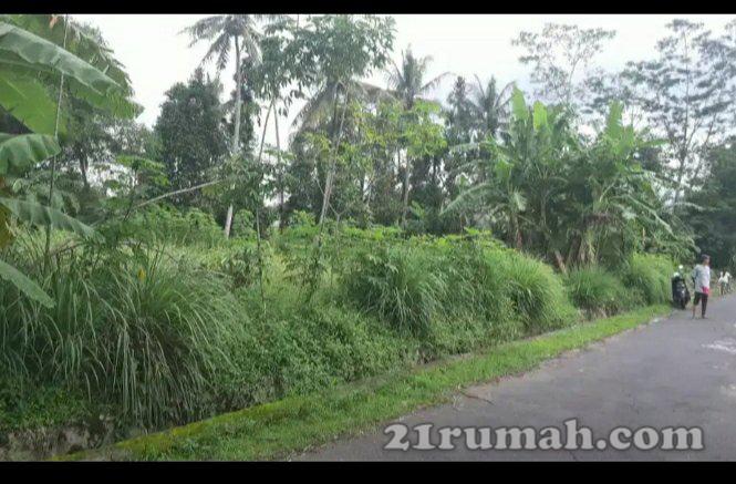 Di jual tanah sawah di Pakem