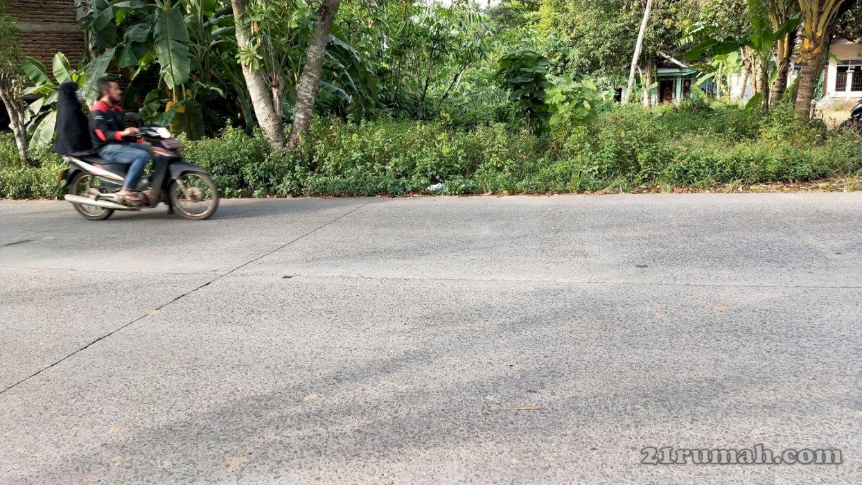 Tanah di Margasari Tigaraksa Cocok Untuk Pabrik