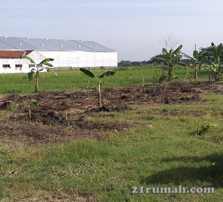 Tanah strategis murah prospek untuk investasi atau kos kosan