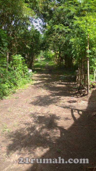 Jual tanah perkarangan dekat ponpes habibulloh banyuwangi jatim