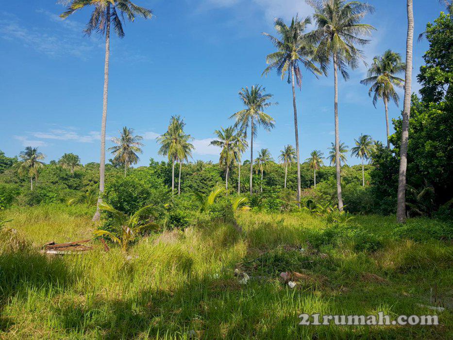Di Jual Tanah Pinggir Pantai Pasir Putih