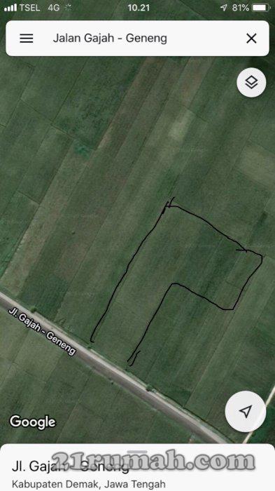 Jual cepat Sawah daerah Demak
