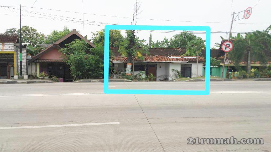 Jual tanah pantura rembang jawa tengah