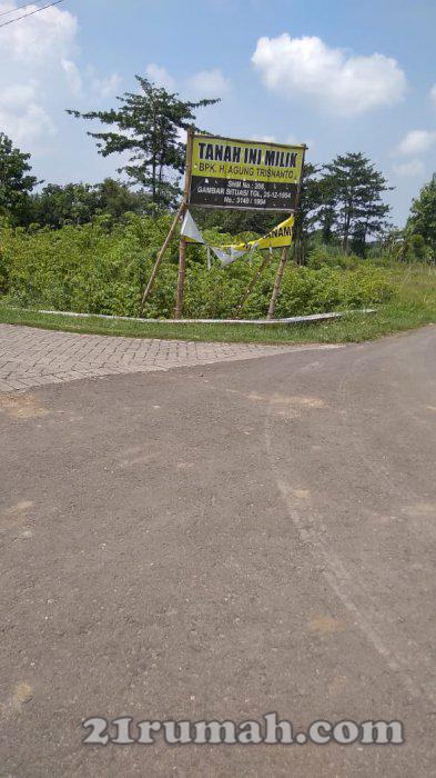 Tanah SHM 3750 M2 lokasi Ds Trawasan, Sumobito, Jombang. Strategis bentuk U.