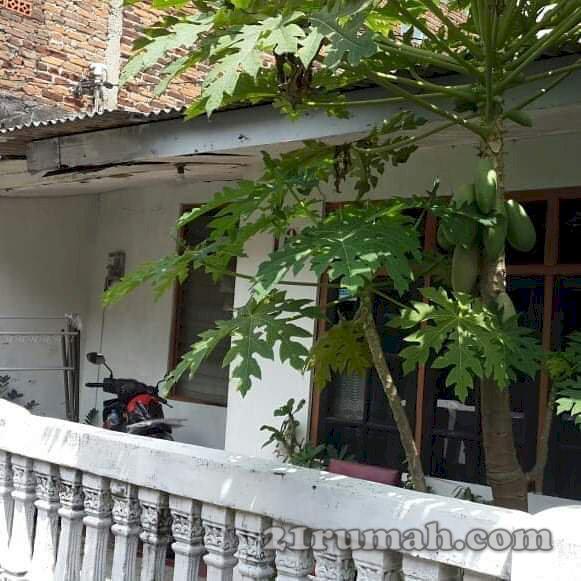 Jual rumah type 21 dikit renov lokasi strategis