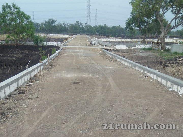 Kavling Randupadangan dekat Benowo