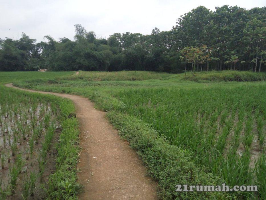 Tanah kosong di Karawang Timur Cocok untuk investasi