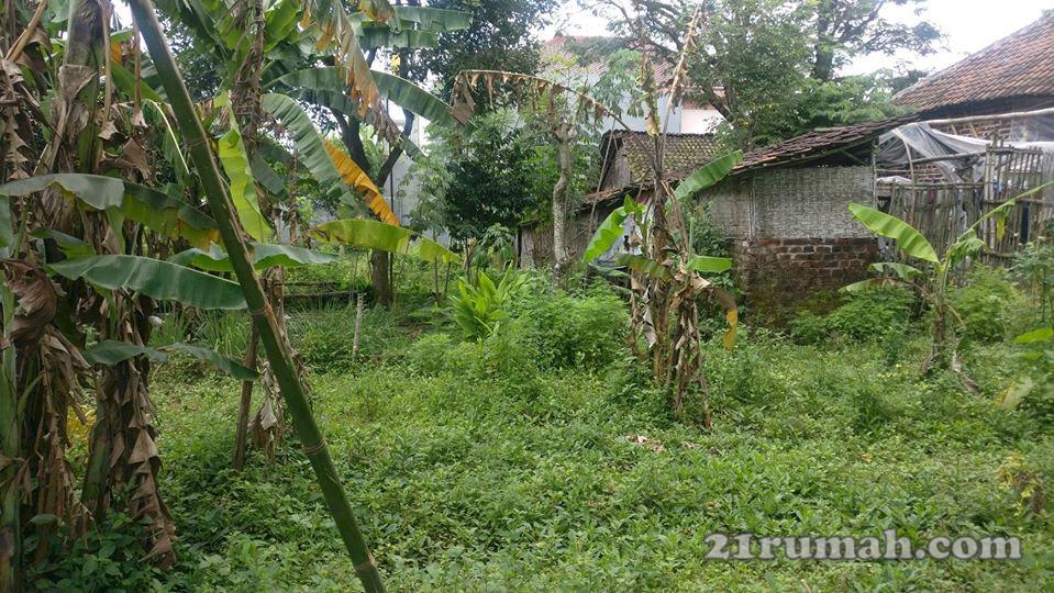 Dijual Cepat Tanah Lokasi Kelurahan Parerejo, Purwodadi, Pasuruan, Jawa Timur