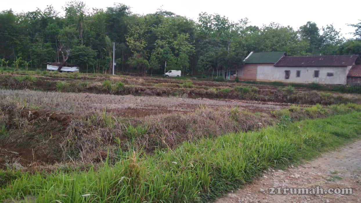Dijual Tanah Sawah dekat jalan raya.